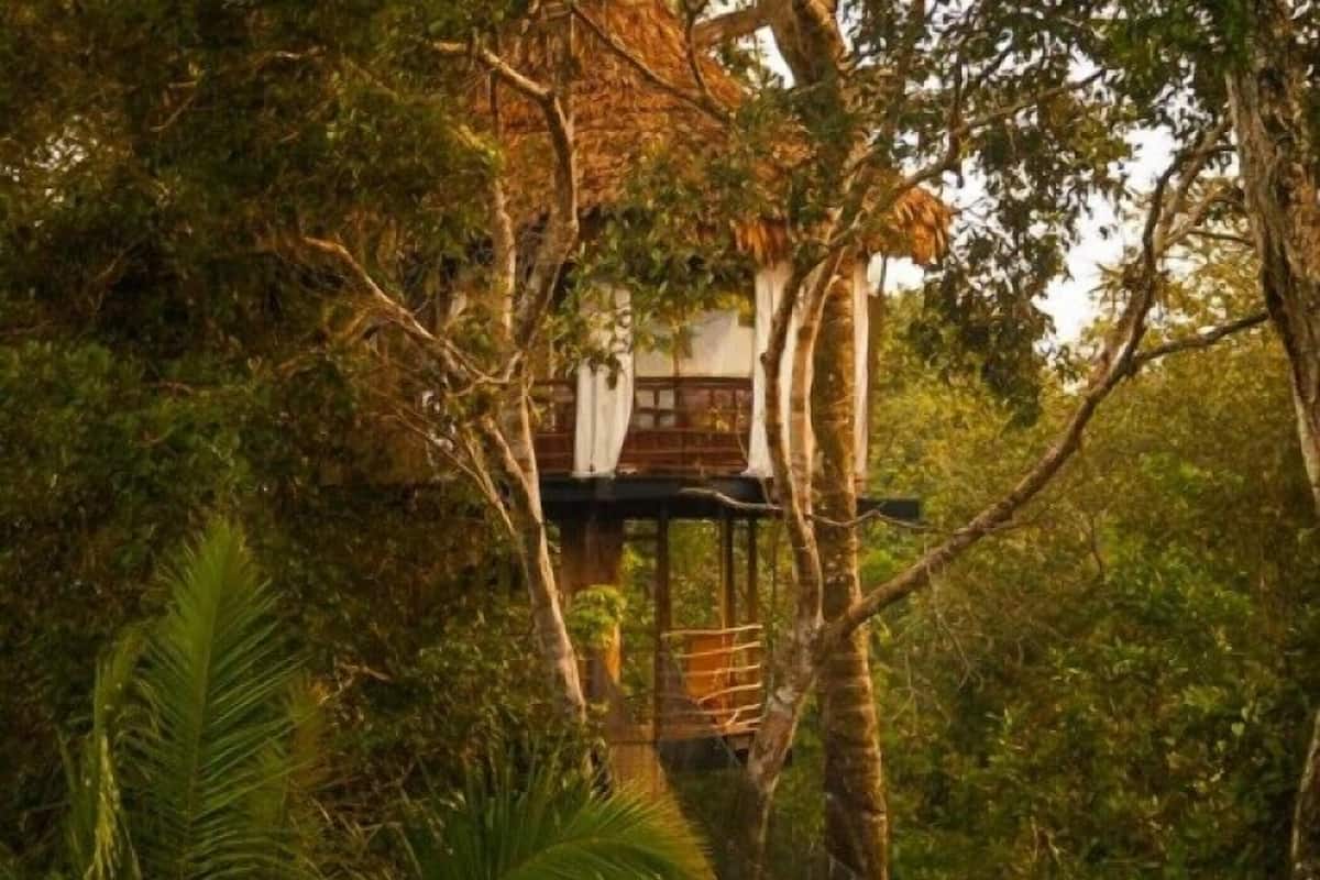Treehouse 7-Alta Vista