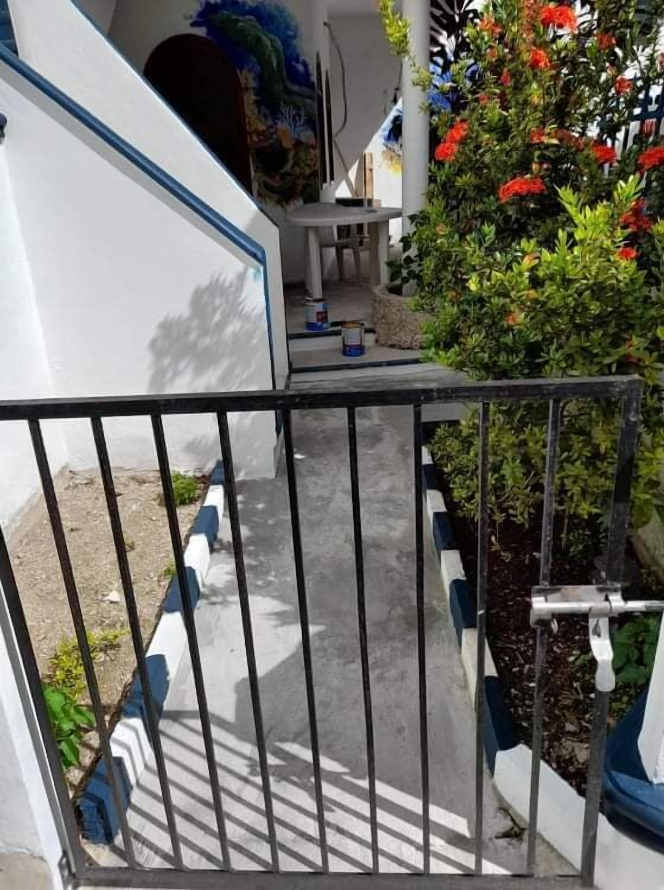 A gated outdoor area with a concrete pathway, a small table, and a potted plant with red flowers.