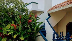 Un edificio blanco con detalles azules, una escalera y exuberantes plantas verdes con flores rojas.
