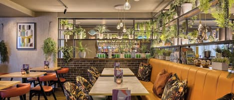 International cuisine