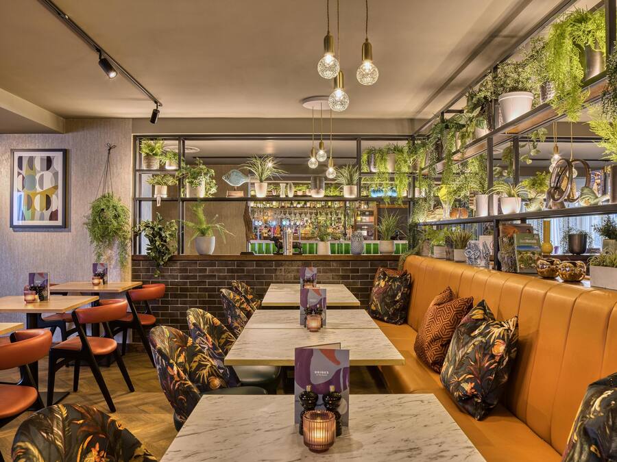 International cuisine