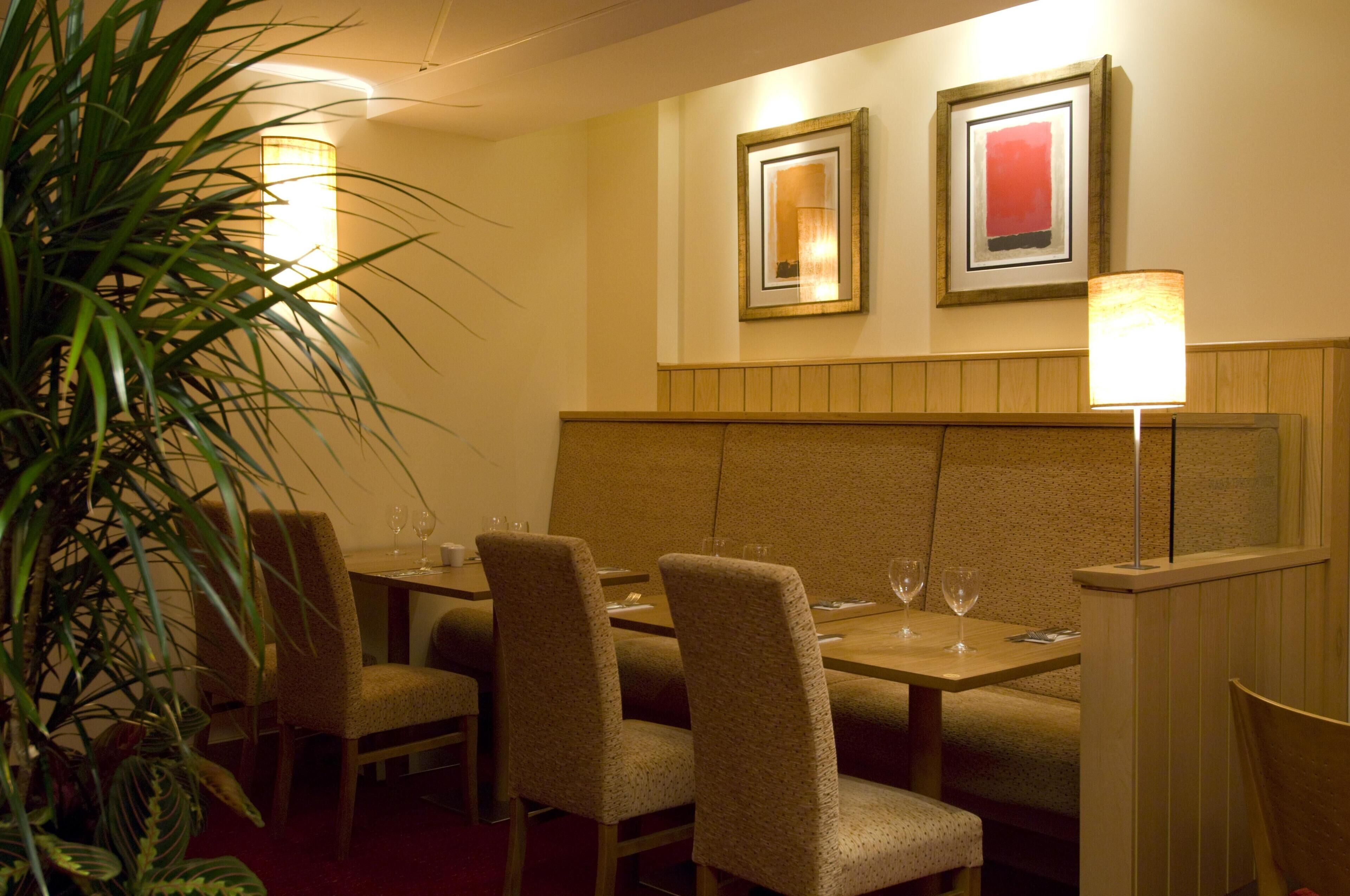 Un comedor con una mesa tipo banca, sillas y una planta en maceta.