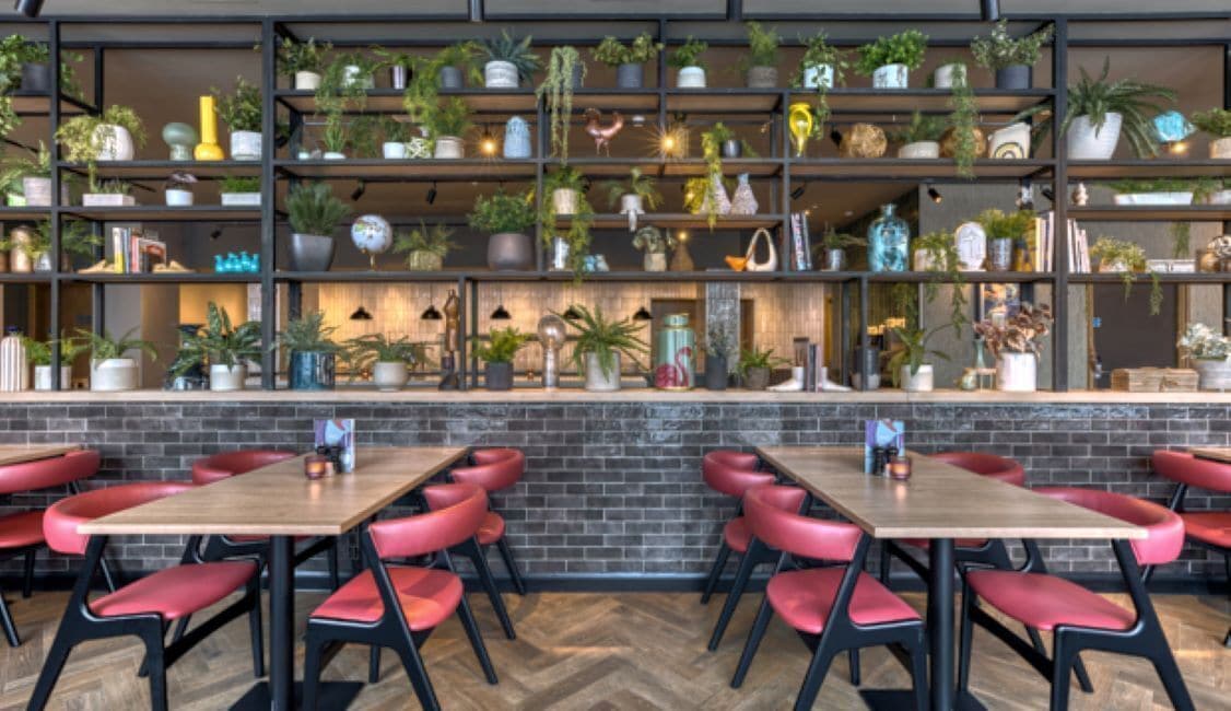 International cuisine