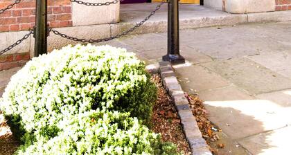 Premier Inn Liverpool City - Albert Dock