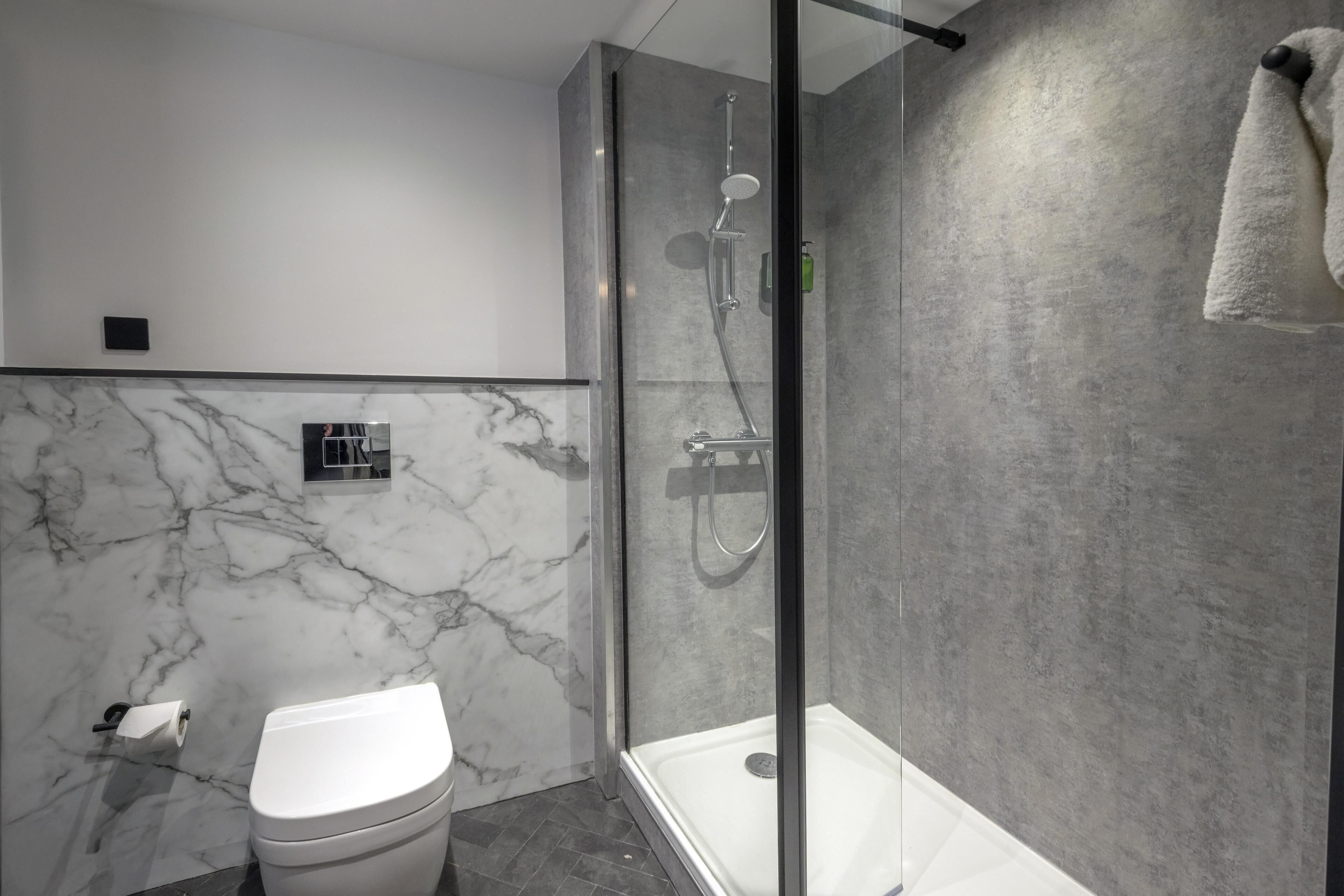 combined shower/bathtub, free toiletries, hair dryer, towels