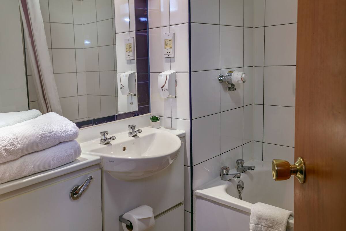 family room, 1 double bed, non smoking (with sofabed) | bathroom | combined shower/bathtub, free toiletries, hair dryer, towels