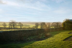 المنطقة المحيطة بالمنشأة