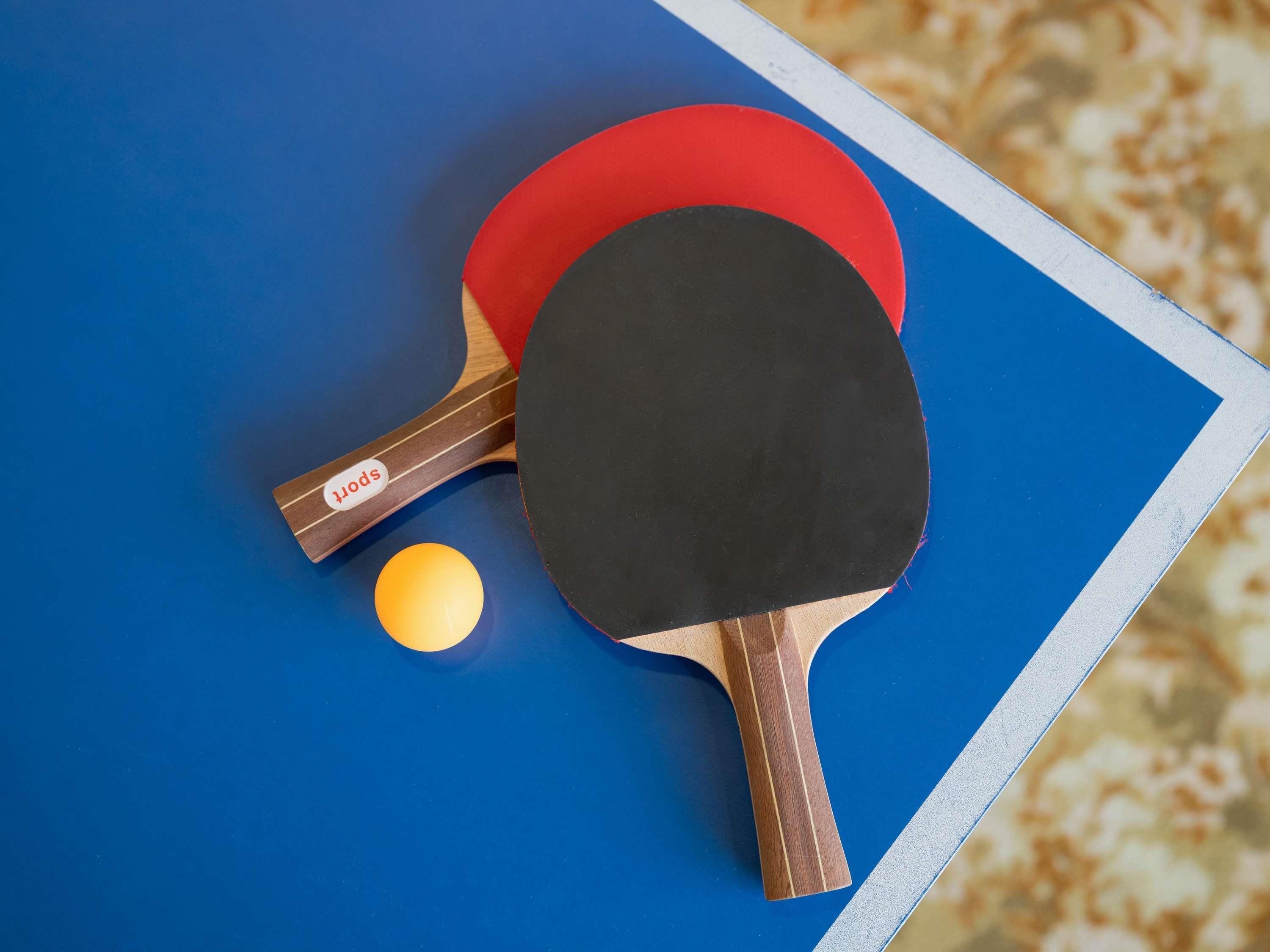 Dos palas de ping pong y una pelota sobre una mesa azul.