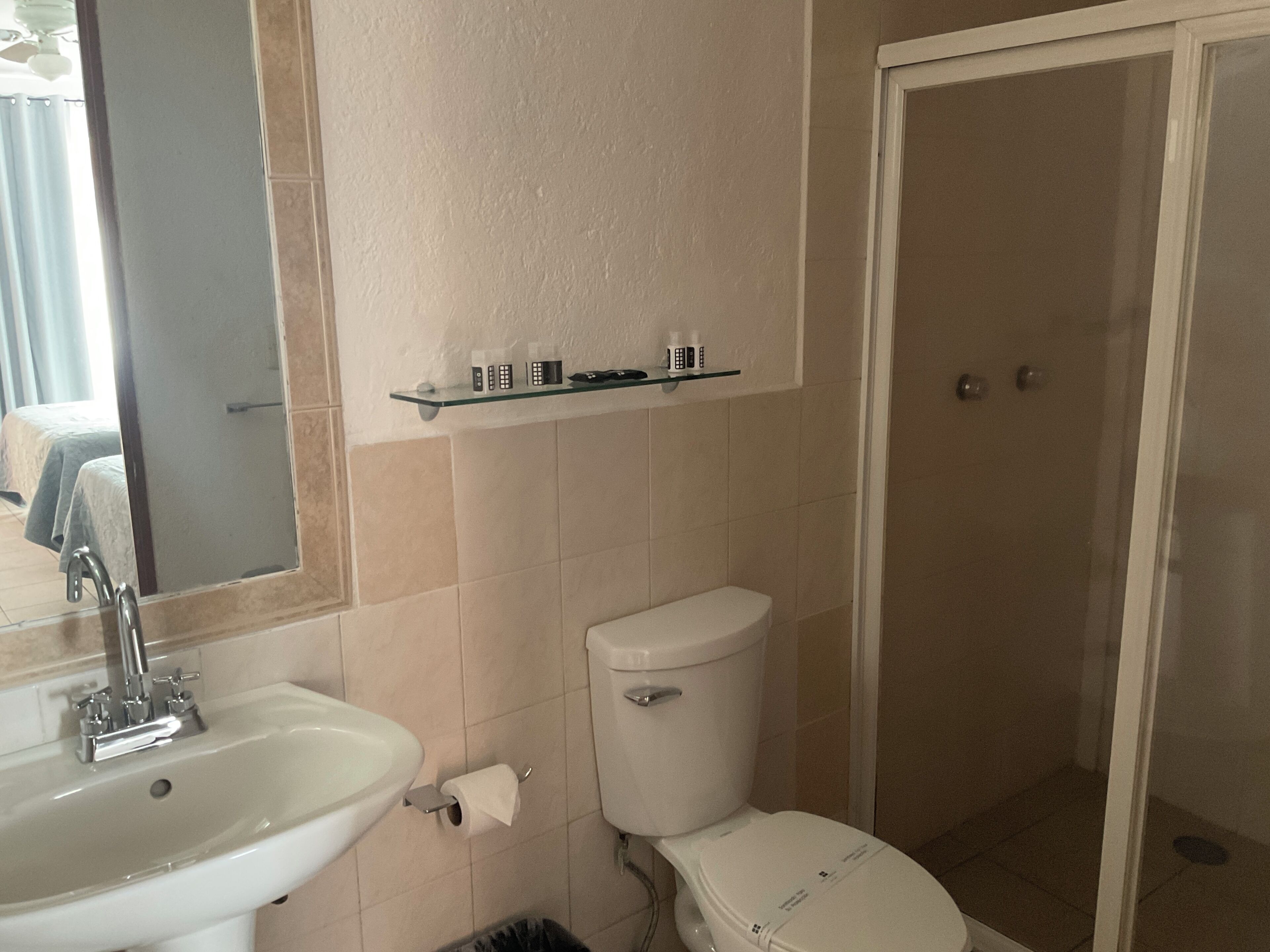 basic room | bathroom | shower, free toiletries, hair dryer, towels