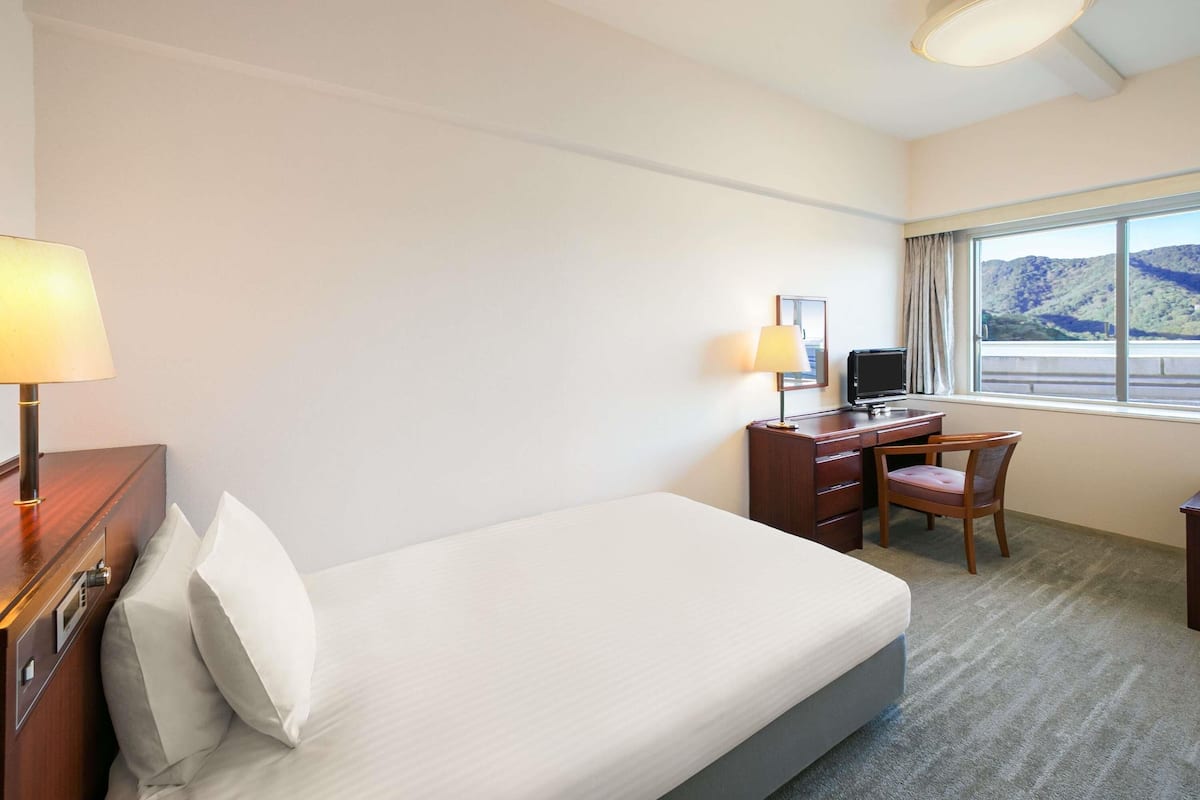 A hotel room with a bed, desk, chair, TV, and a window with a view of hills.
