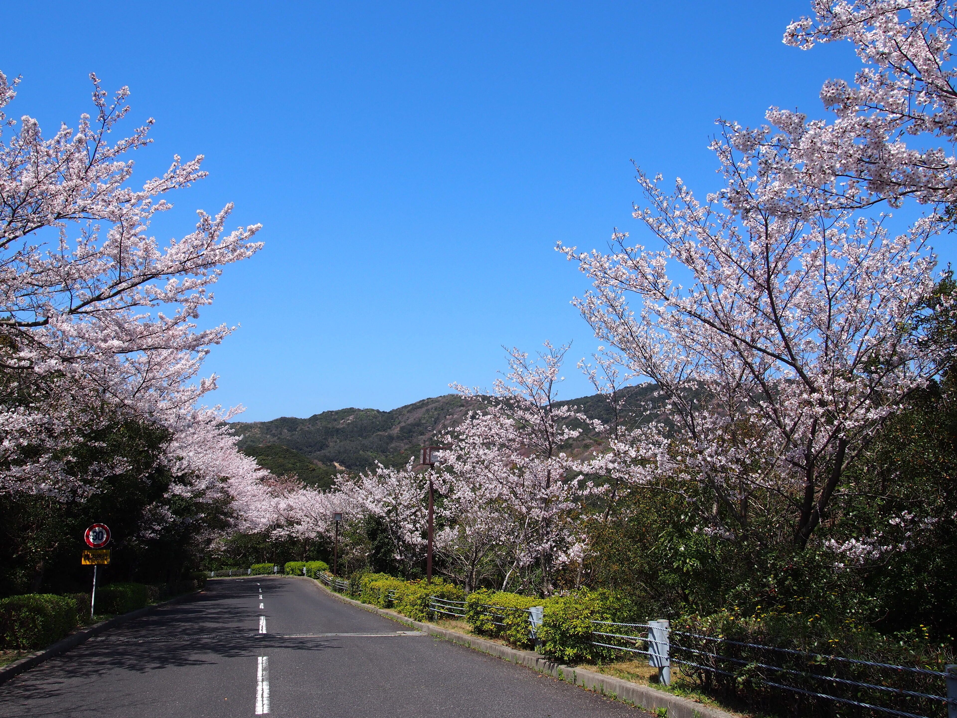 住宿景觀