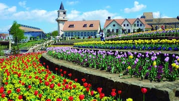 Um jardim florido com diversas cores de tulipas e outras flores, uma igreja com torre e um edifício com telhado vermelho.