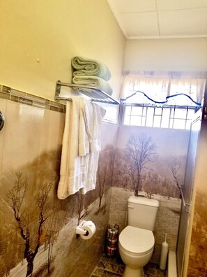 Basic House, 3 Bedrooms | Bathroom
