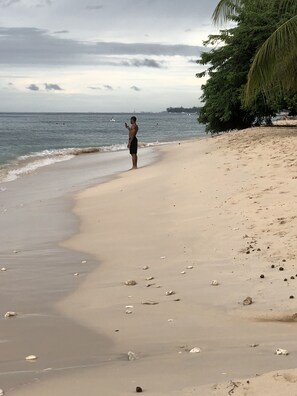 ใกล้ชายหาด