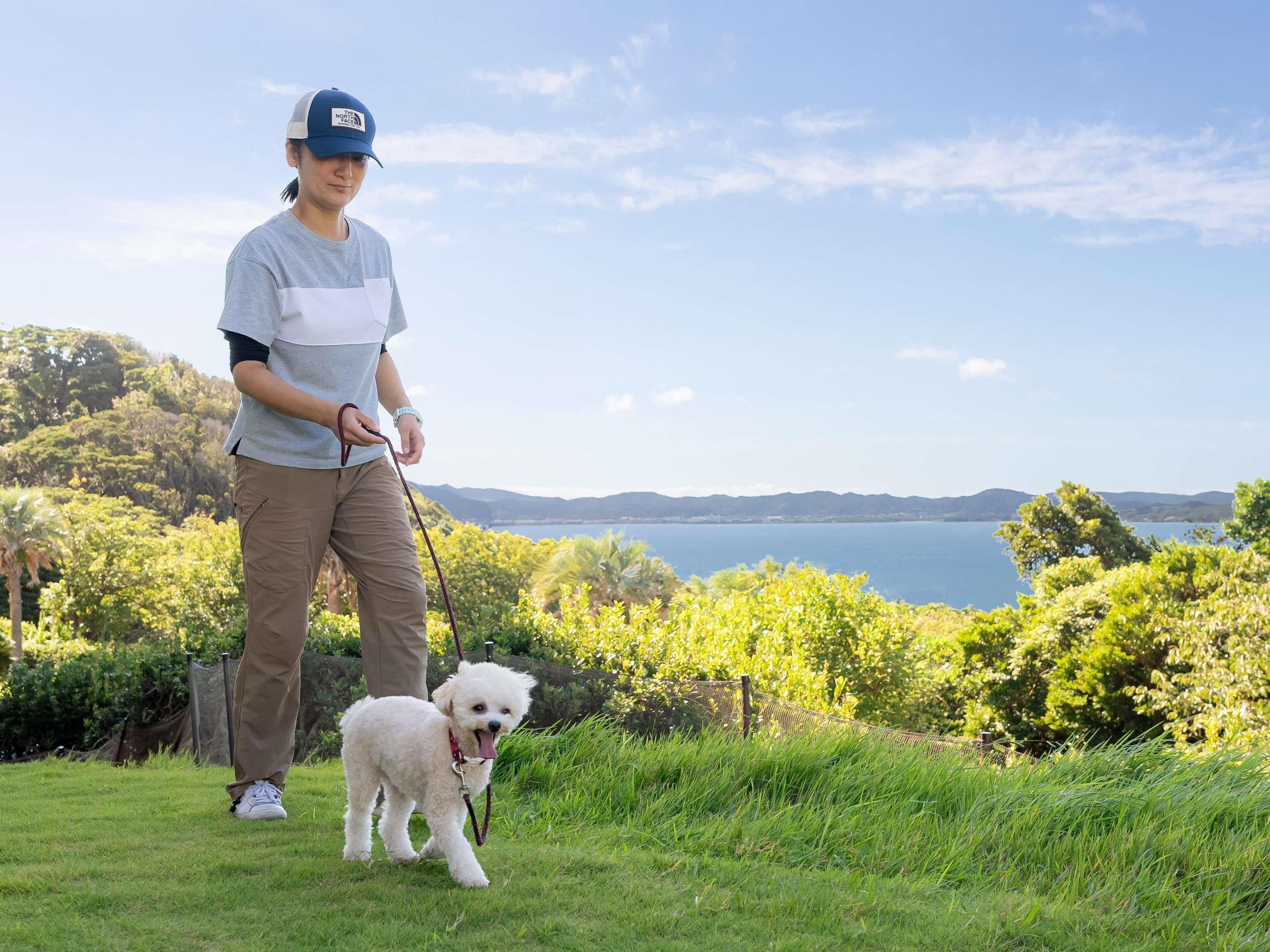 A person walking a small white dog on a leash in a grassy area with a scenic view of a body of water and hills in the background.