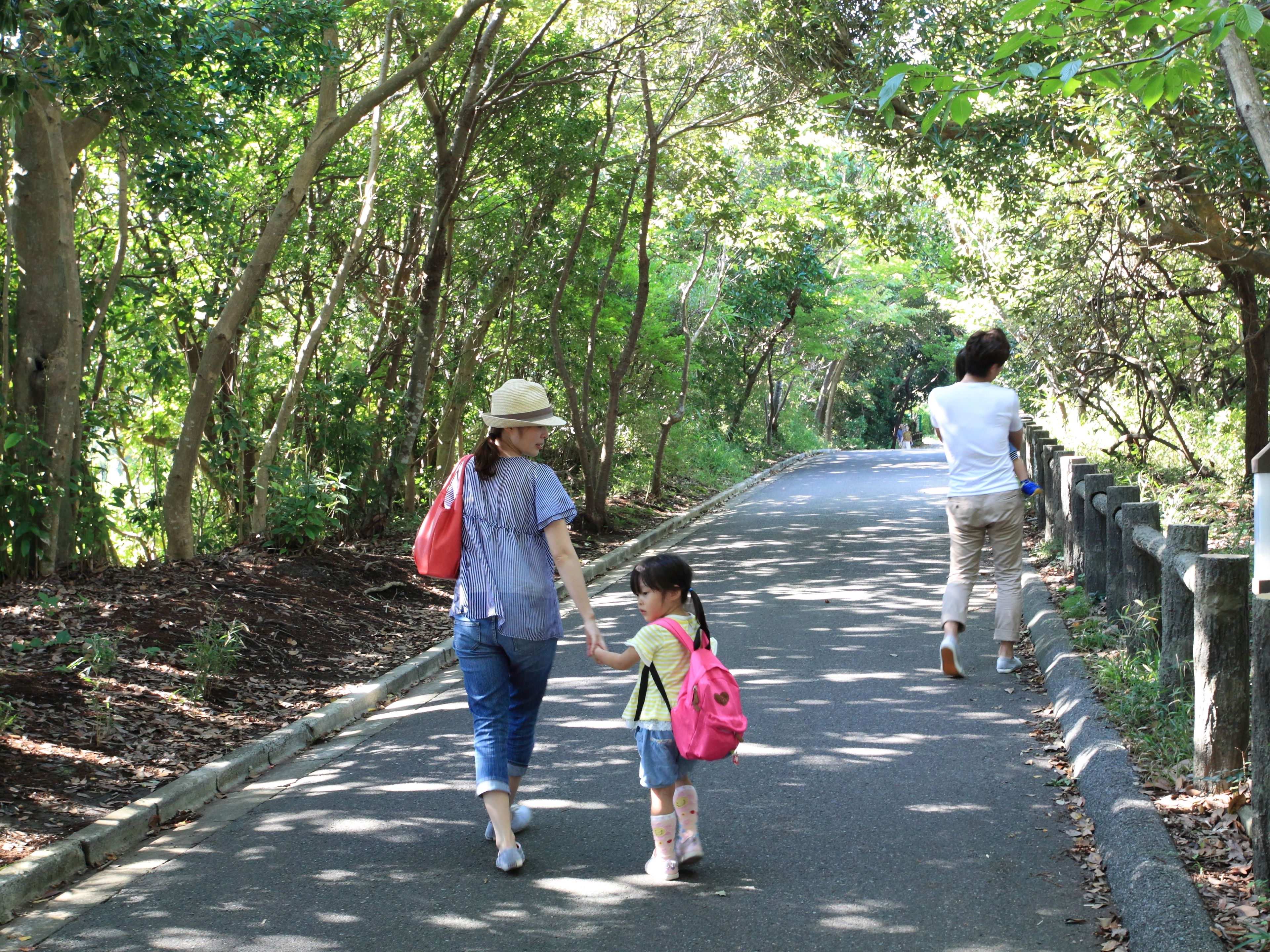 A paved pathway in a wooded area with trees on both sides.