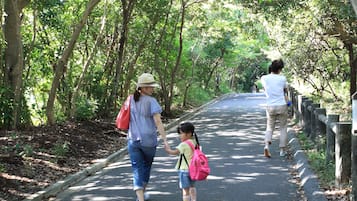 A paved pathway in a wooded area with trees on both sides.