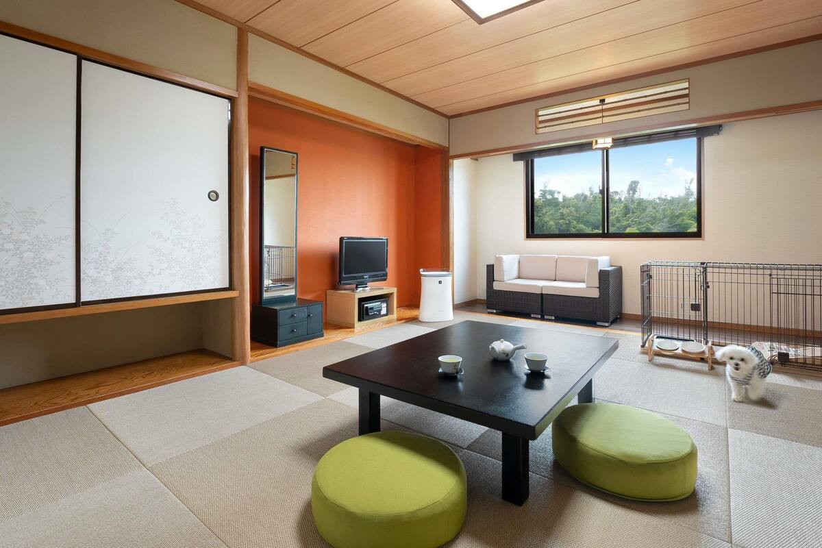A room with tatami flooring, a television, a sofa, a table with cups, and a window with a view.