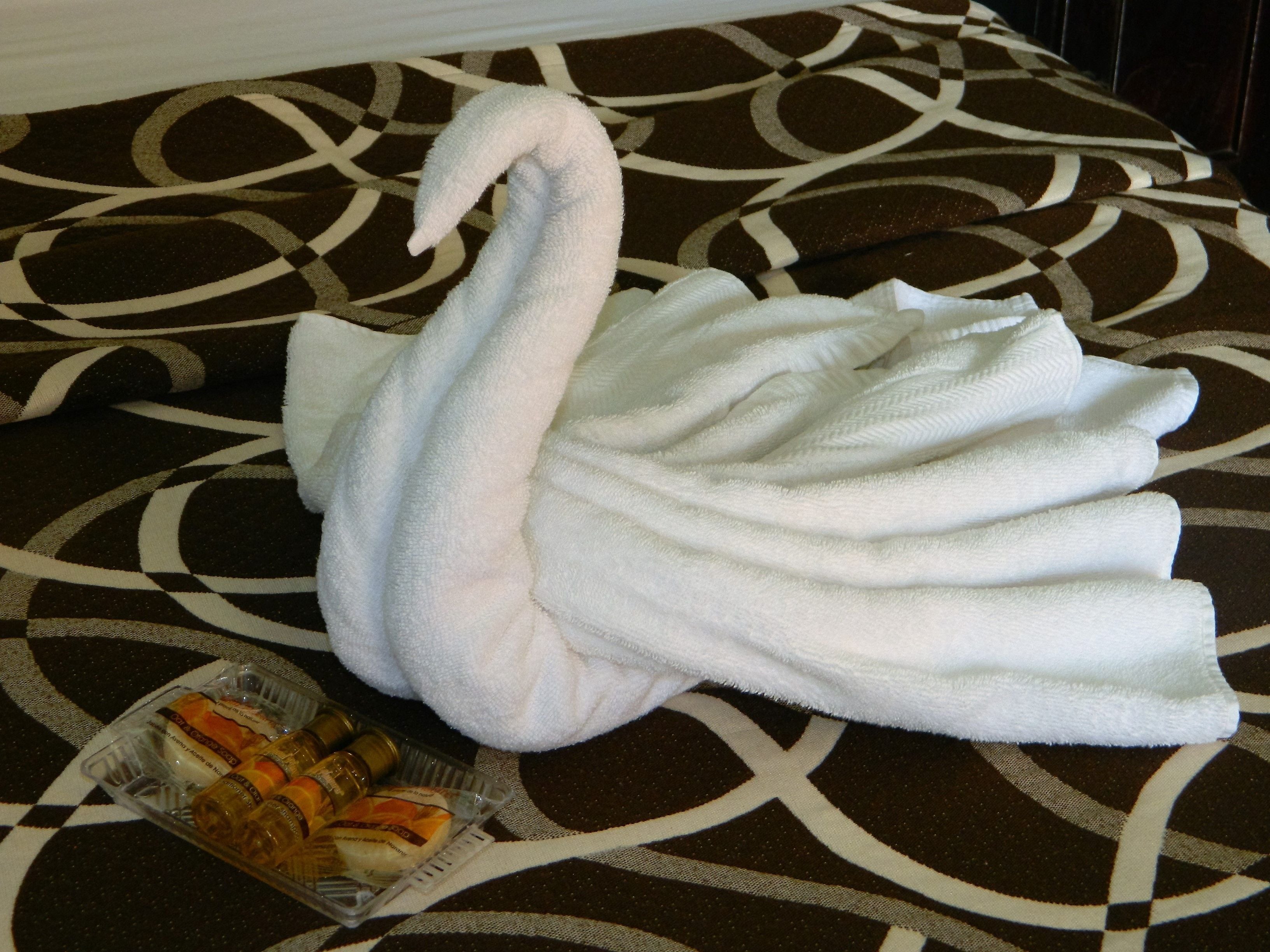 Photo - Hotel Montejo