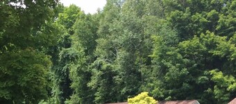 Adirondack Oasis Motel