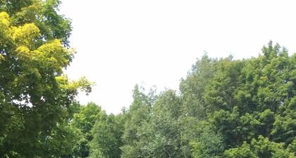 Adirondack Oasis Motel