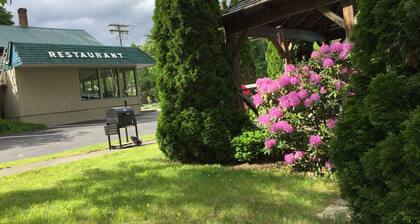 Adirondack Oasis Motel