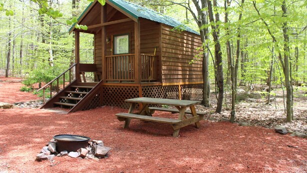Una cabaña de madera con un porche, una escalera y una mesa de picnic en un entorno boscoso.