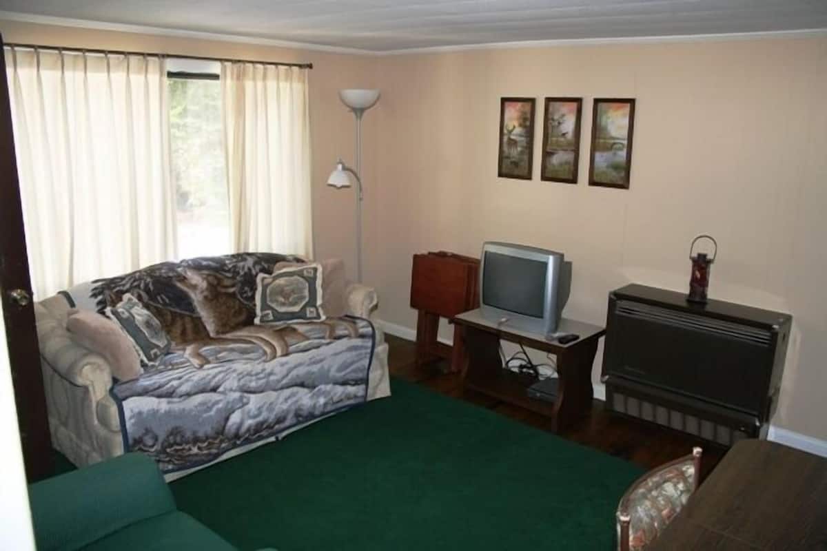 A living room with a sofa, a television, a fireplace, and framed pictures on the wall.
