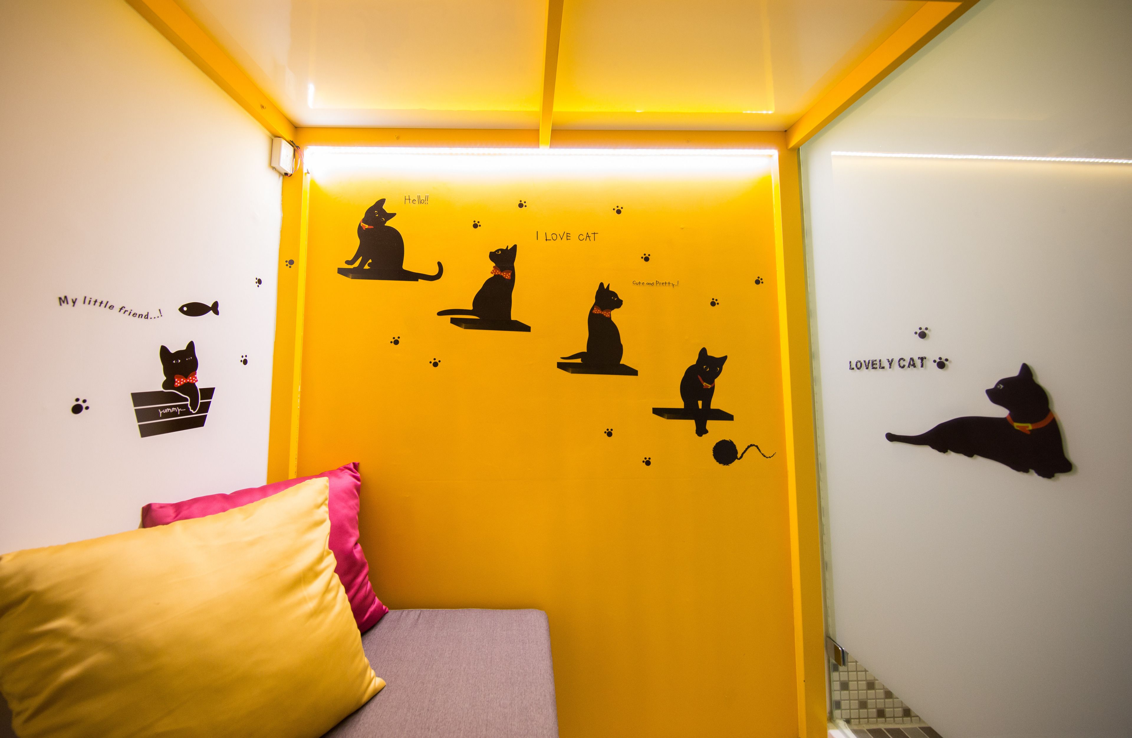 A room with a yellow accent wall, a bed with a yellow pillow, and a wall with cat silhouettes and text.
