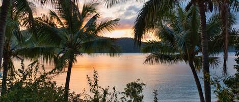 A serene sunset view with palm trees and calm water.