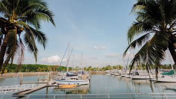 A marina with several boats docked, surrounded by palm trees.
