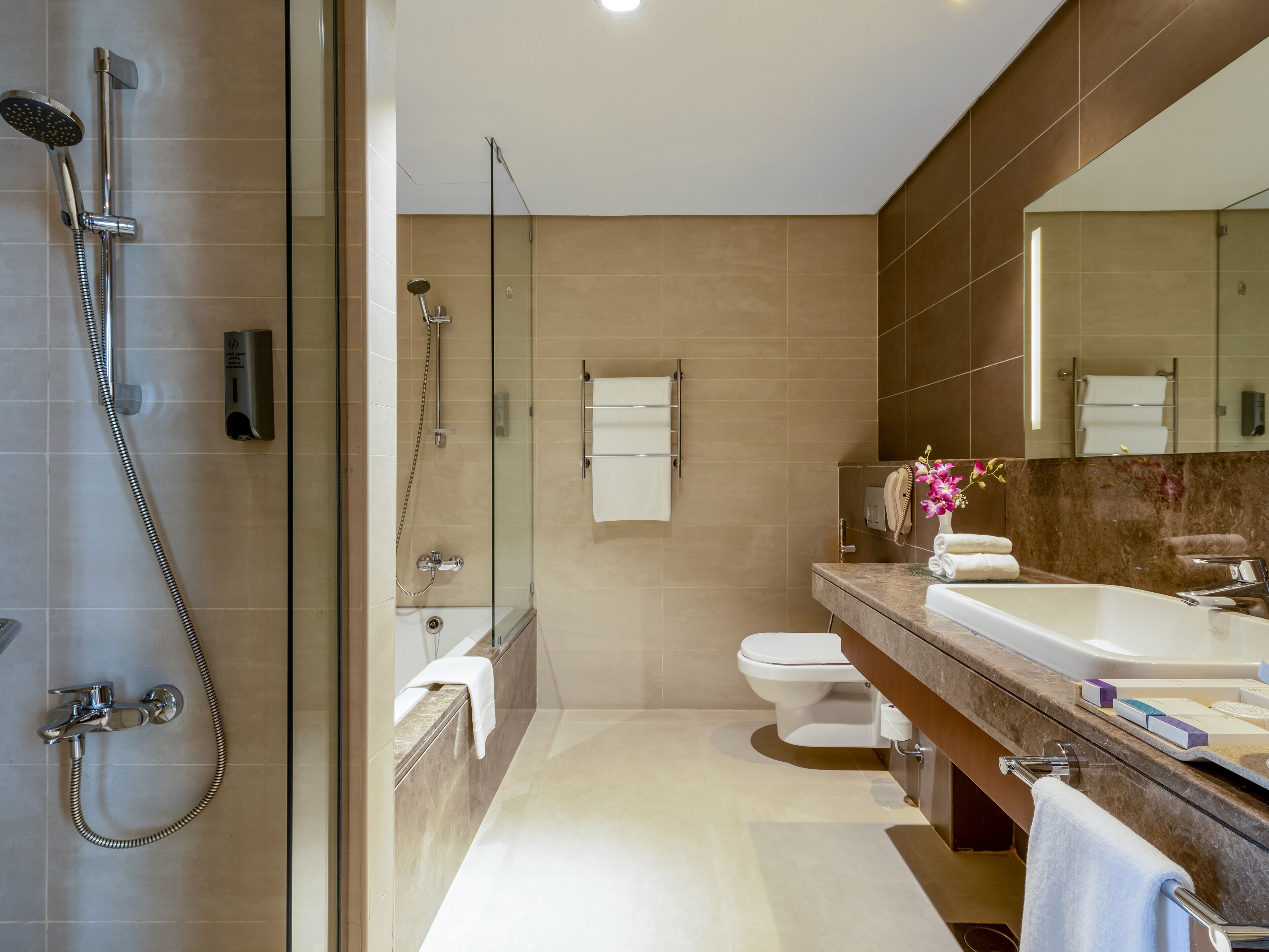 combined shower/bathtub, free toiletries, hair dryer, bathrobes