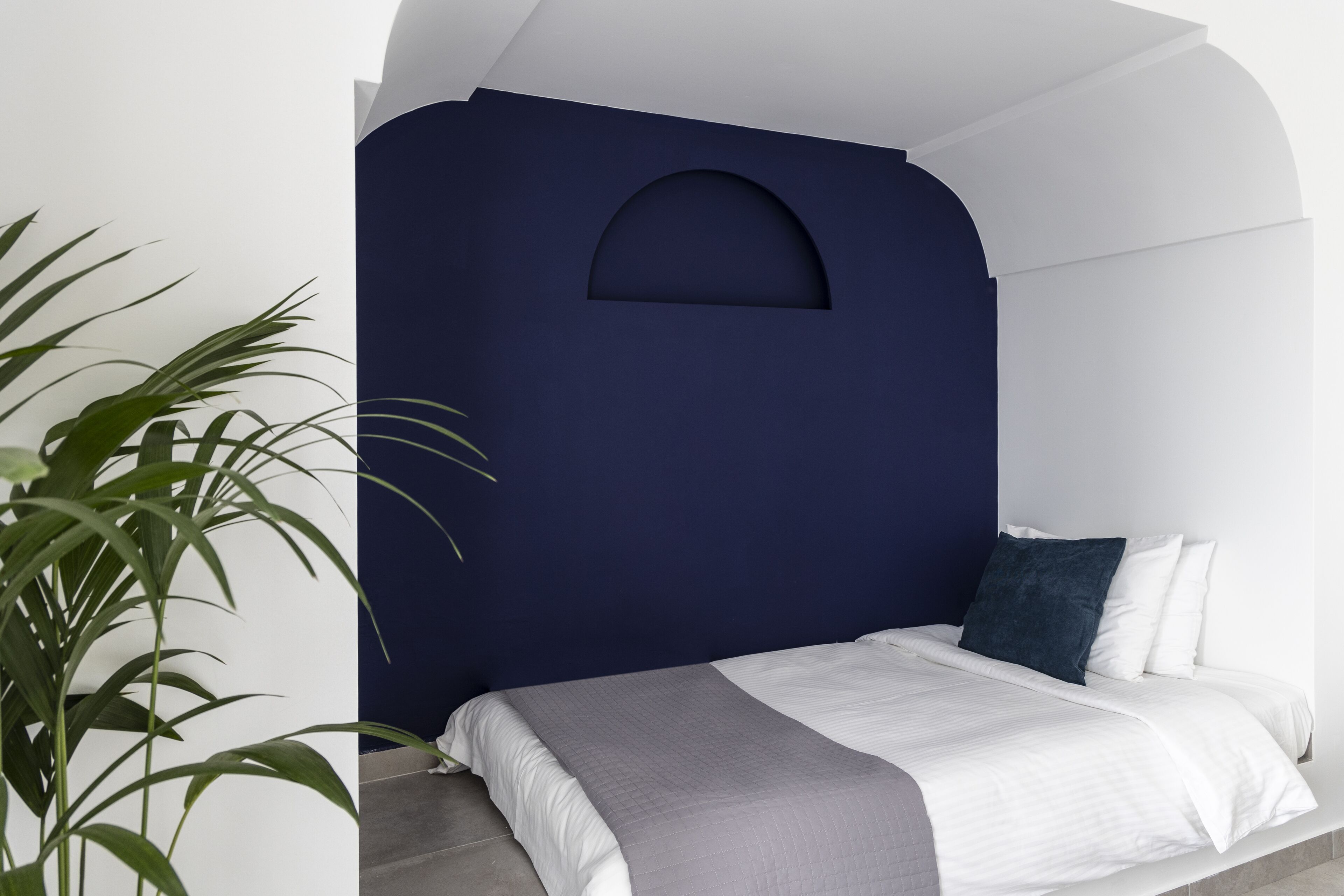 A modern bedroom with a dark blue accent wall, a white bed with a grey blanket, and a single green plant.