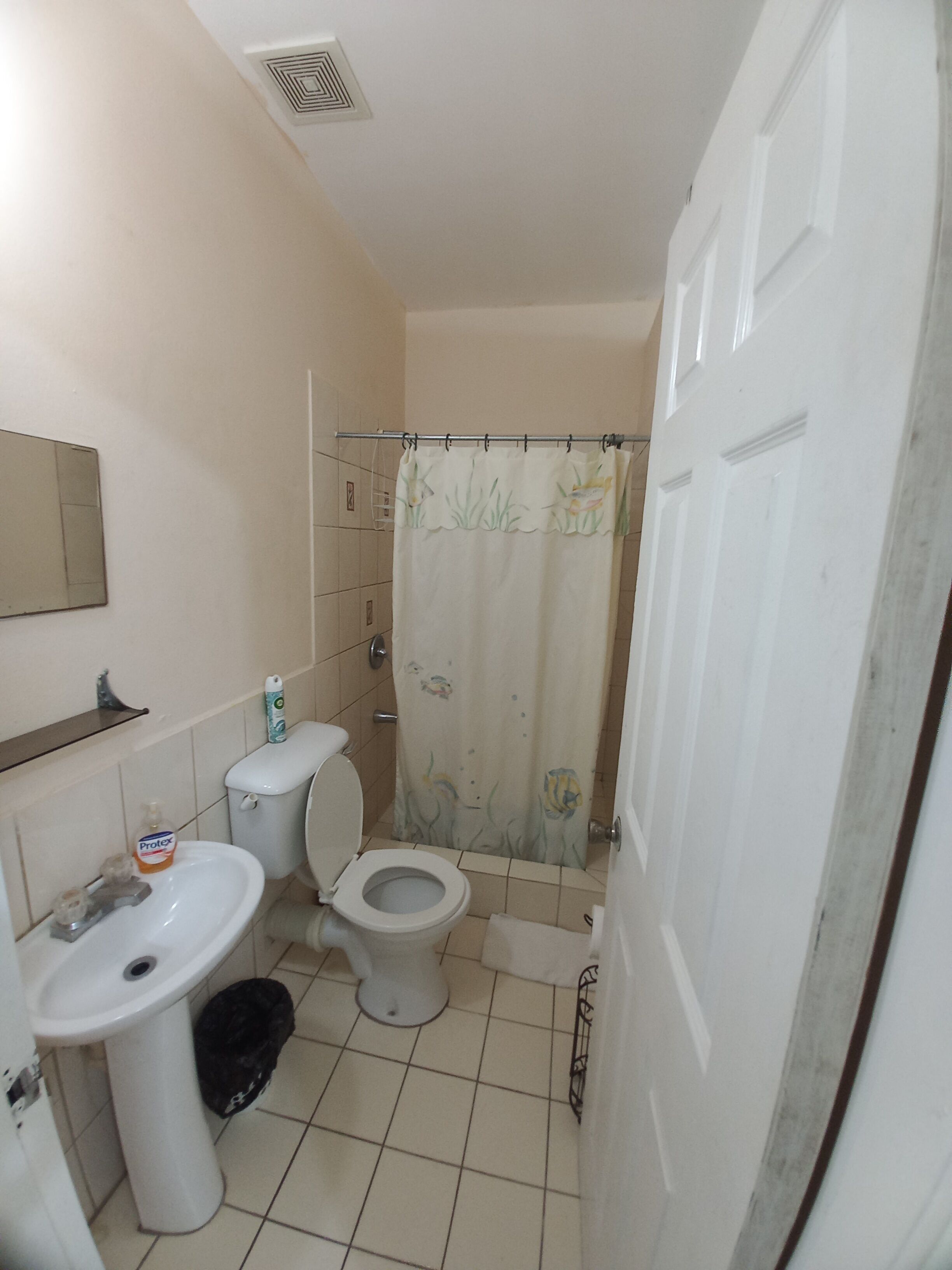 Een kleine badkamer met toilet, wastafel en douchegordijn.