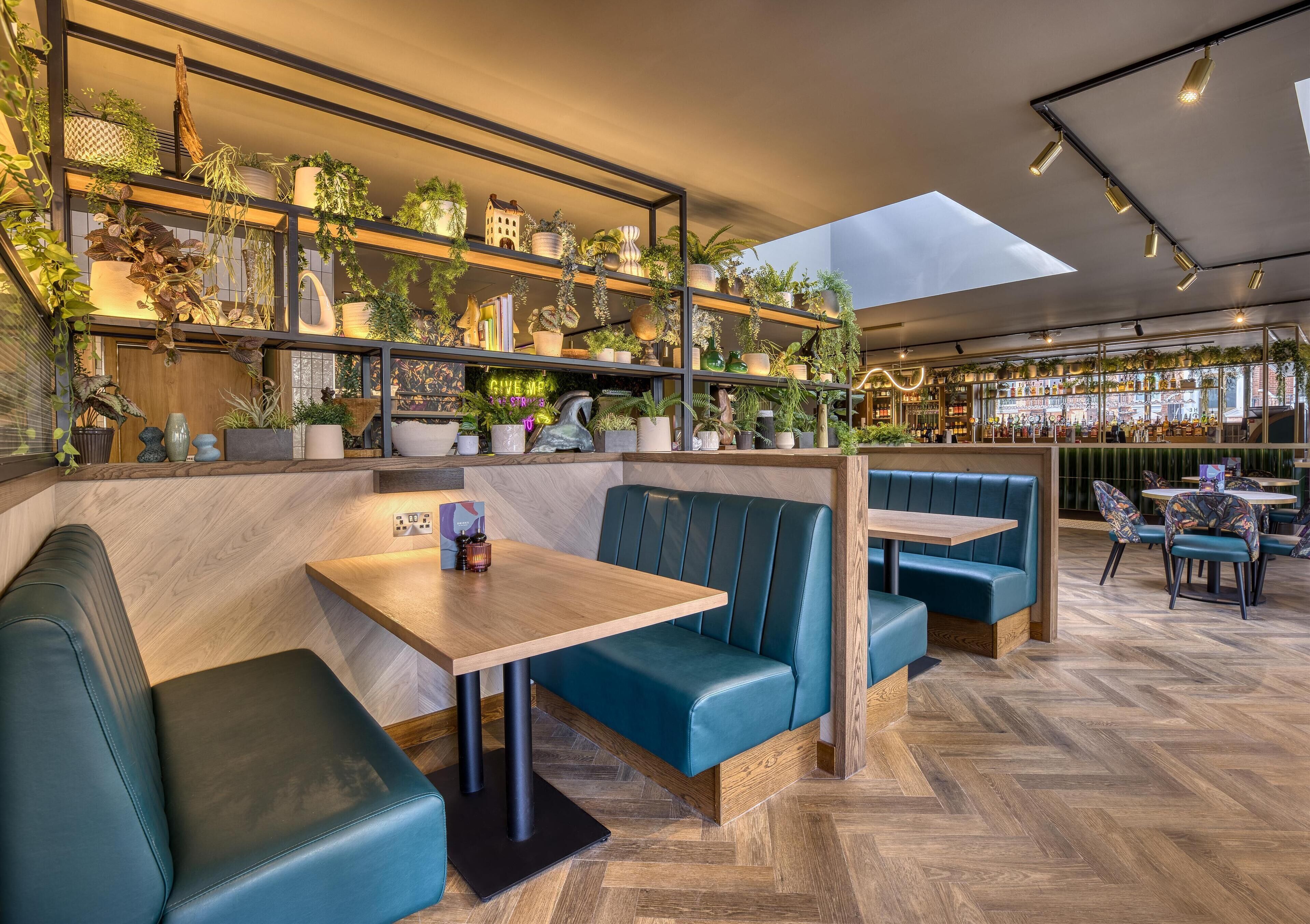 Ein modernes Restaurant mit Holzböden, sitzgelegenen Einrichtmöbeln in Türkis und verschiedenen Pflanzen auf Regalen.