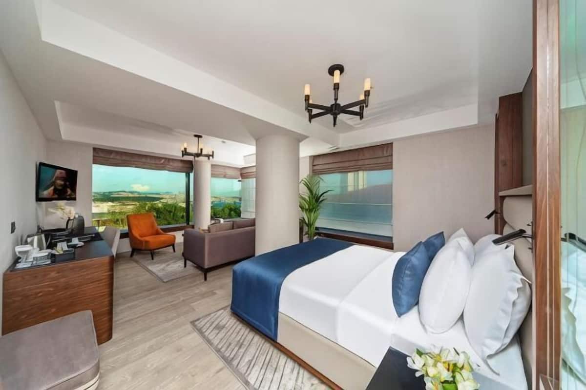 Premium bedding, down comforters, pillowtop beds, minibar