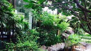 Un jardin intérieur luxuriant, avec un petit étang, diverses plantes et un pont en pierre.