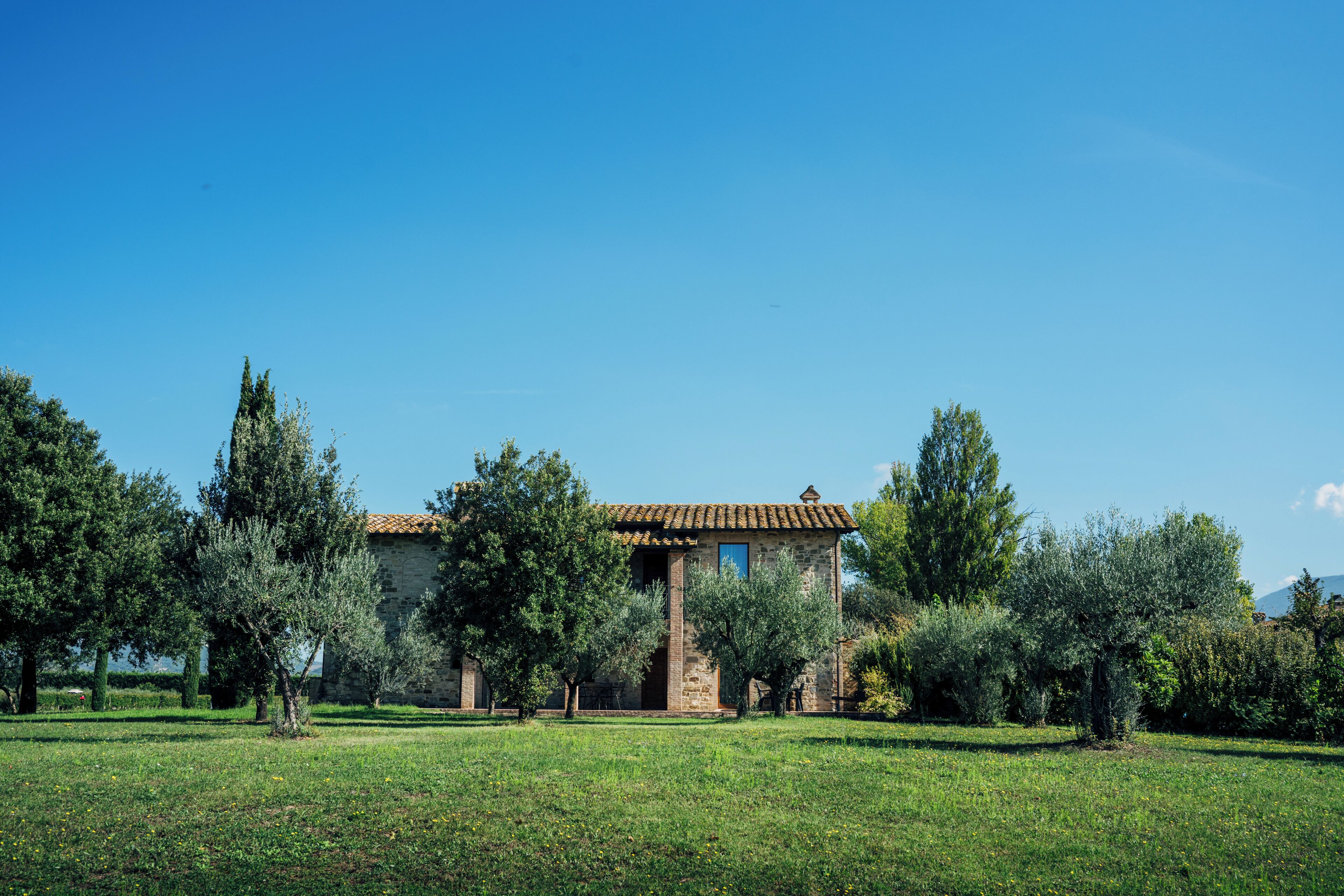 A stone building with a tiled roof, surrounded by olive trees and a grassy field.