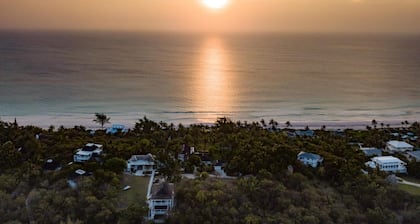 Royal Palm Hotel