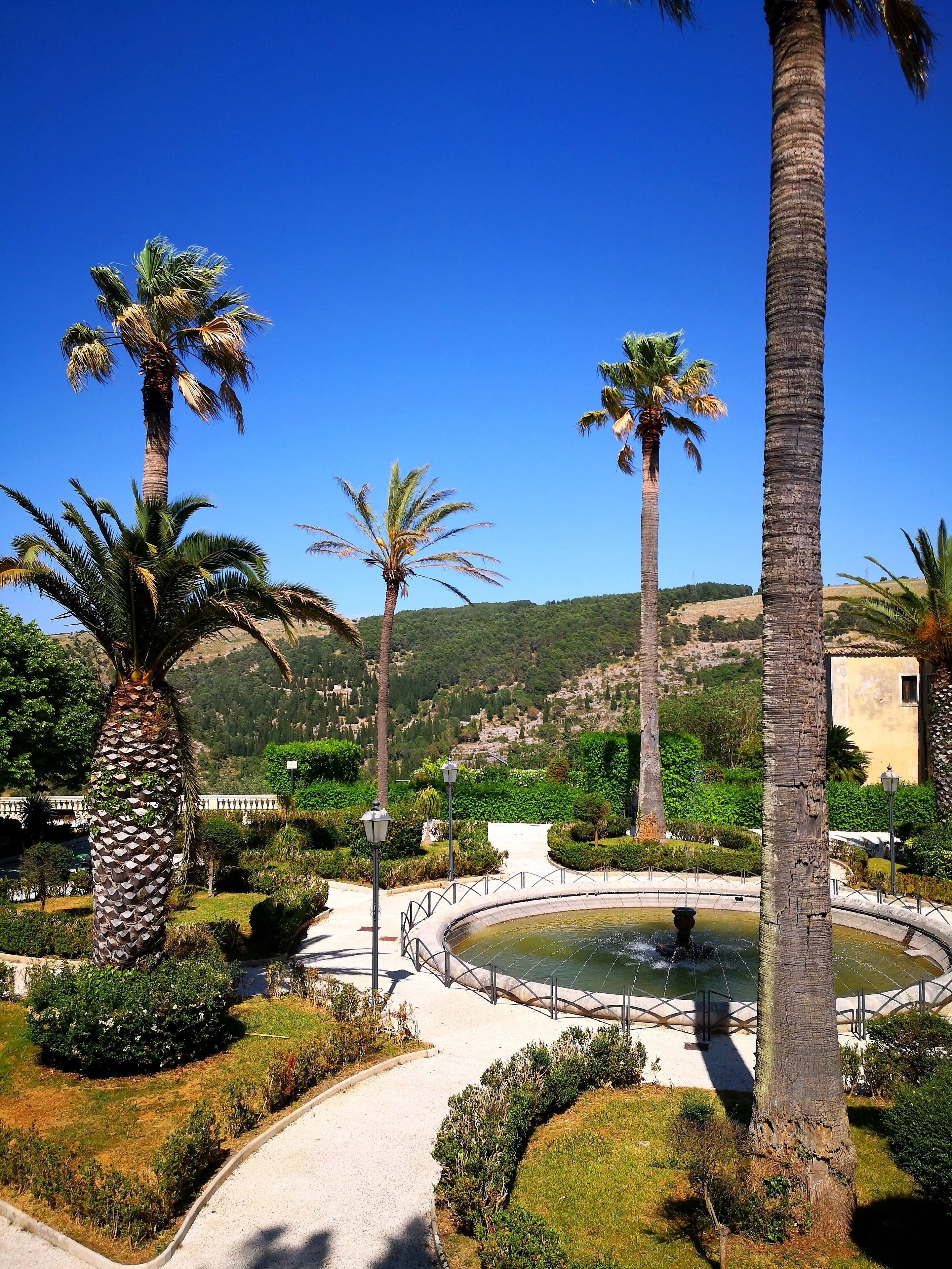 A landscaped garden with palm trees, a fountain, and a pathway.