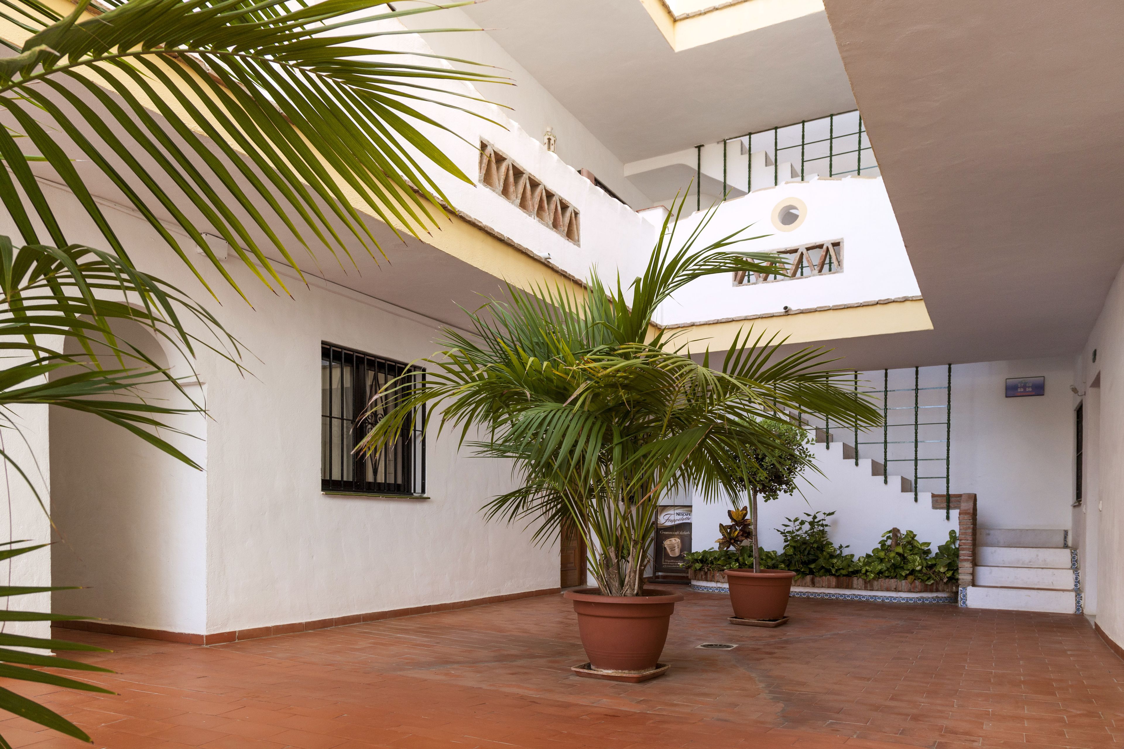 Vista des de l'allotjament