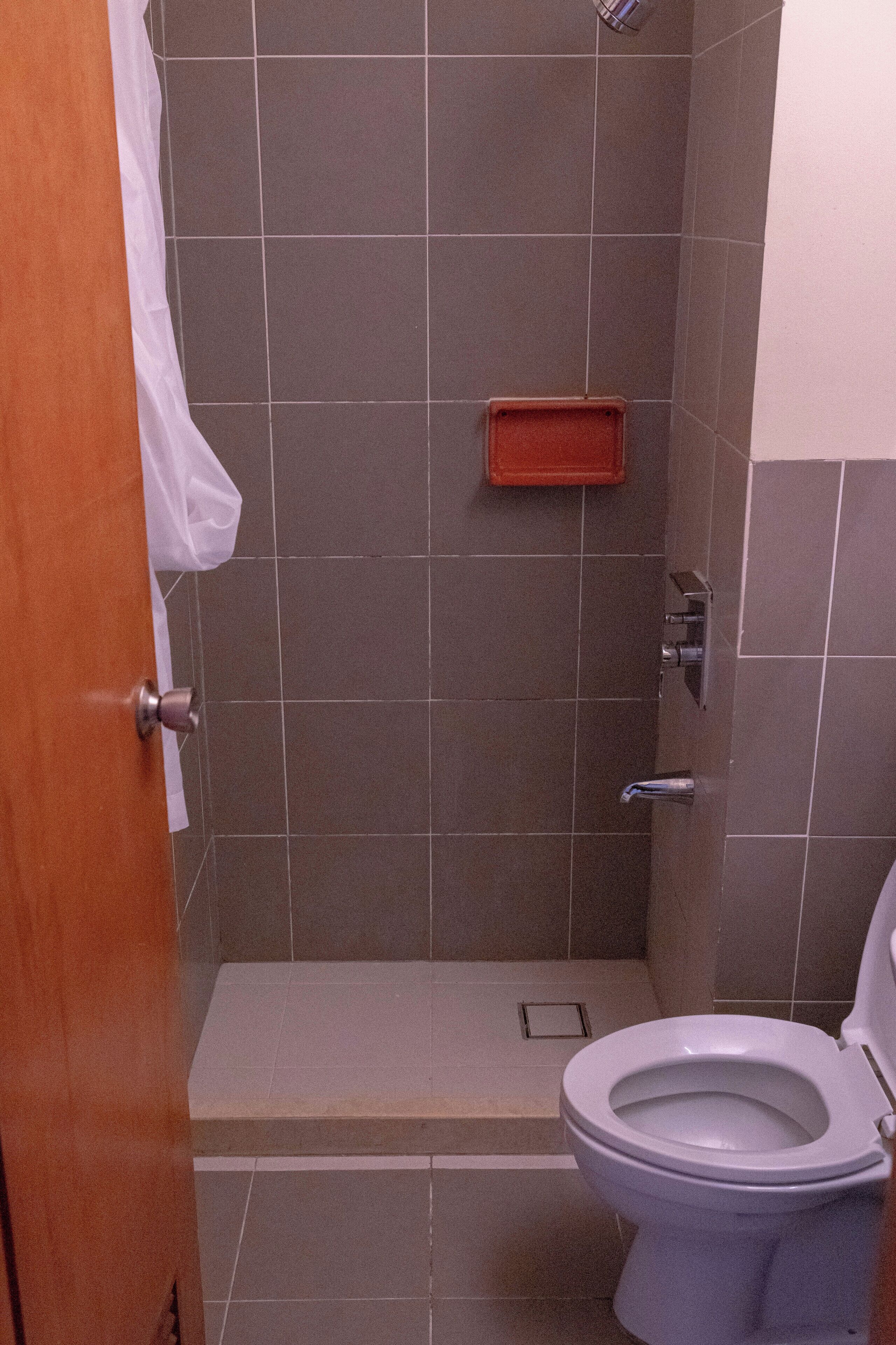 Une salle de bain avec une douche, des toilettes et une petite étagère.