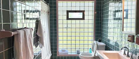 Deluxe Apartment | Bathroom | Combined shower/tub, free toiletries, towels