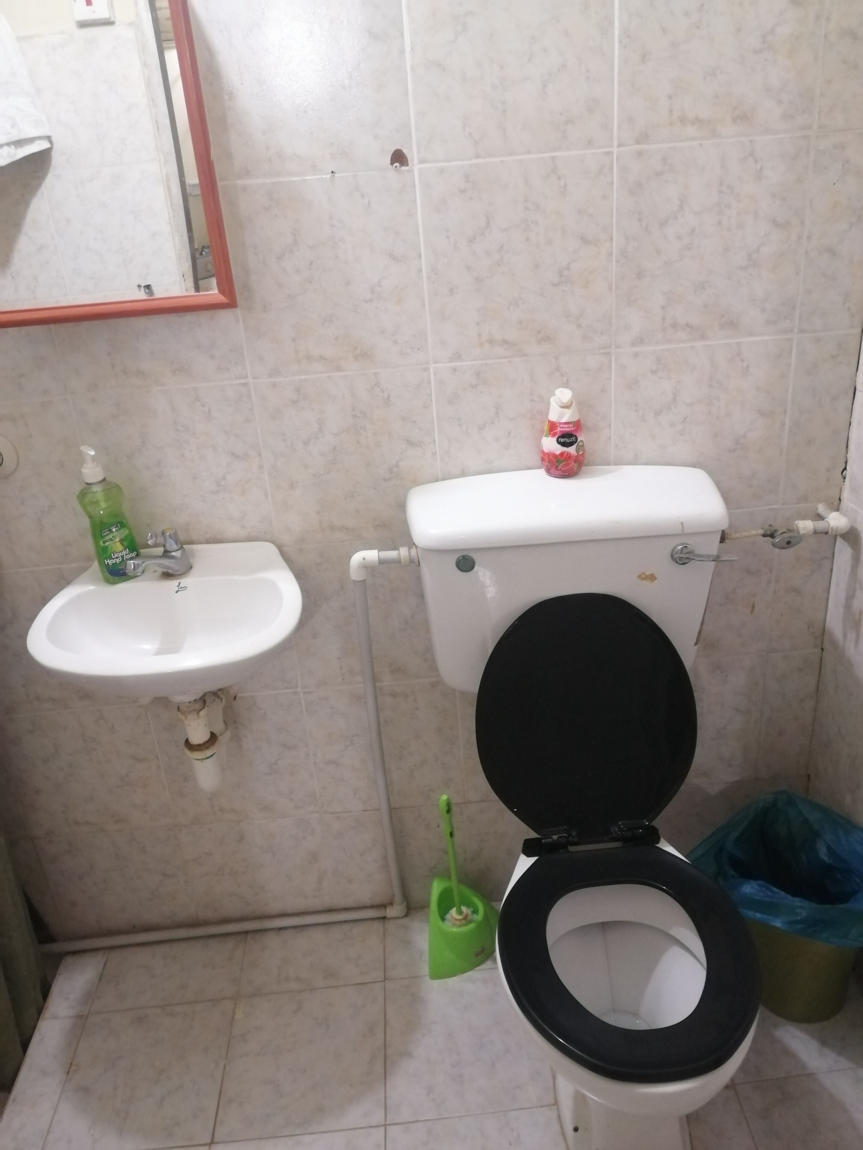 A bathroom with a toilet, sink, and a green mop.