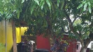 A garden area with a paved walkway, various plants, and a tree. - Tony's Guest House (Diego Martin)