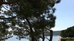 Piscine sur le toit