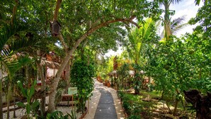 A wooden pathway through a lush garden with various plants and trees.