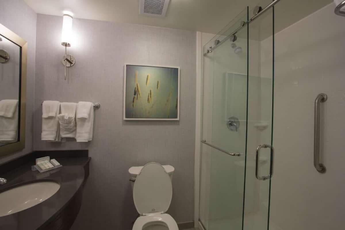 A bathroom with a glass shower enclosure, a white toilet, a sink with a mirror, and a wall-mounted towel rack.
