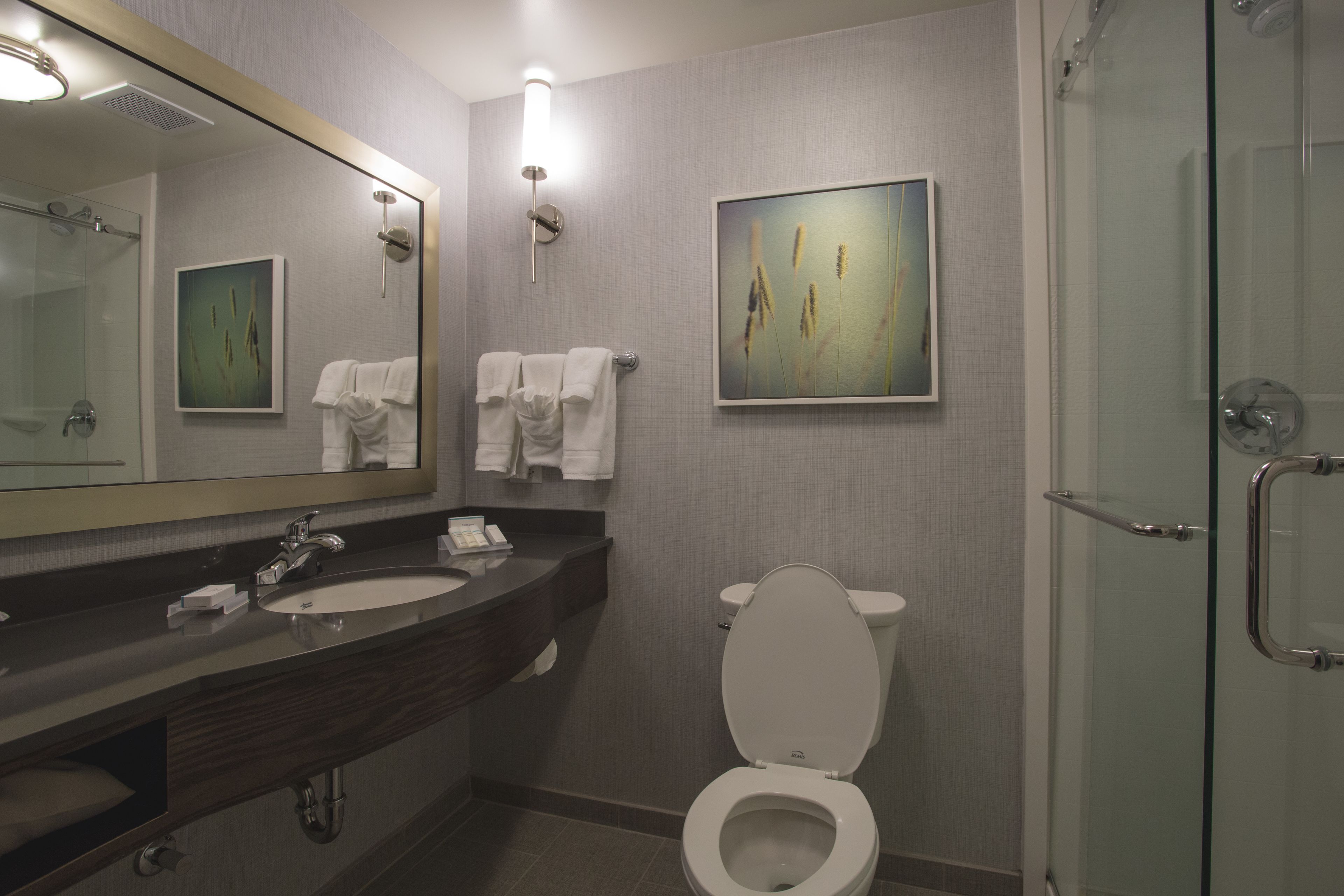 A modern bathroom with a glass shower enclosure, a large mirror, a sink with a vanity, and a toilet.