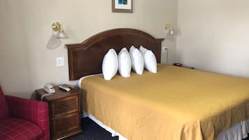 Skrivbord, strykjärn/strykbräda och gratis wi-fi